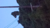 CM150725-050130032.jpg